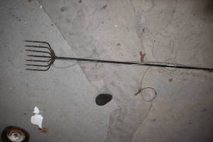 Spear