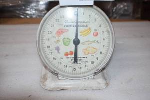 Scale