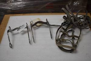 Bits and Bridles