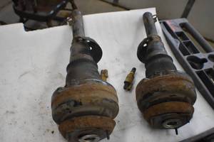 Front Struts