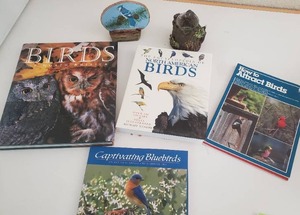 lot 31 image: Books Informational Bird Blue-Jay Art Etc.