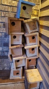 lot 113 image: Twelve Wooden Birdhouses-Small Rug That Would Look Great To Be Made Into A Framed & Matted Picture