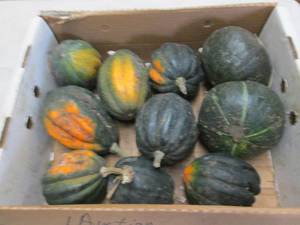 Box of Winter Squash...
