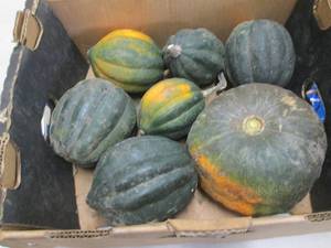 Box of Winter Squash...