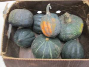 Box of Winter Squash...