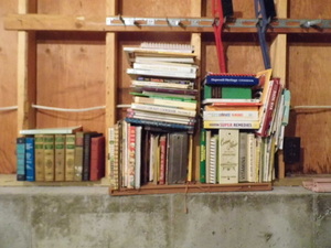 Huge Book Lot