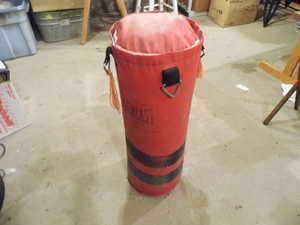 Everlast Punching Bag