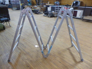 lot 73 image: Fold Away Ladder