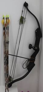 Youth Compound Bow & Arrows