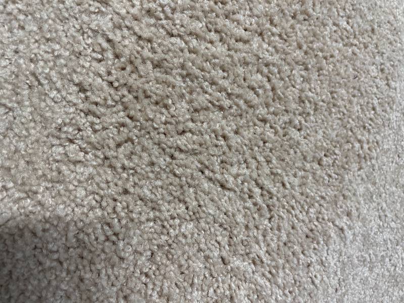 250 SF Mohawk Carpet REM- Timeless Idea - Fortune Cookie