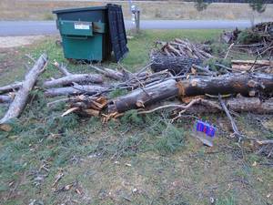 lot 107 image: Bunch of pine fire wood cut into lengths now take what you want. As shown.