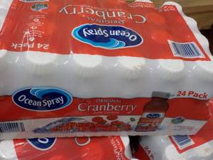 lot 246 image: 24 pack Ocean Spray Cranberry 10 oz Bottles