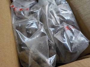 lot 459 image: H 10 lb. Box Frozen Turkey Breakfast Sausage