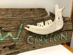 lot 159 image: Old Vintage Western Ranch Sign - Dog Jaw Canyon