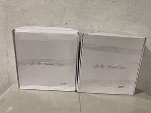 lot 316 image: The Wreath Depot 2-Pack 19 inch White Pip Berry Wreath