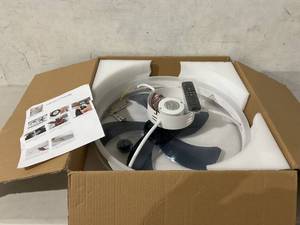 lot 336 image: AHAWILL White 19.7 inch Round Ceiling Fan with Light