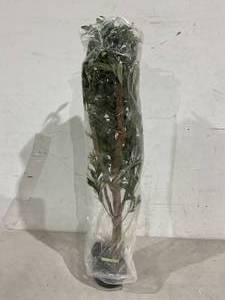 lot 181 image: Artificial Olive Tree
