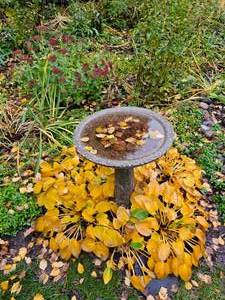 Riverstone Concrete Birdbath