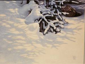 Beverly Scalze Winter Shadows Print