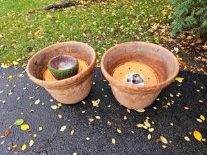 Larger Terracotta Planter Pair