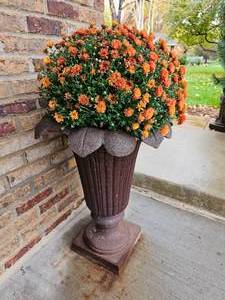 Heavy Vintage Iron Lilly Planter One Petal Flaw