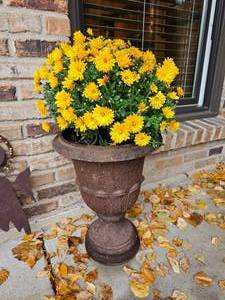 Vintage Iron Foot Urn Planter