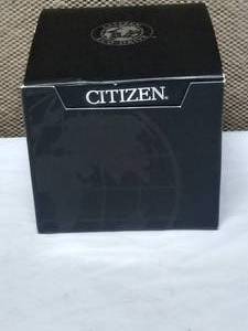 NEW CITIZEN ECO-DRIVE MESH BAND WORLD TIME WATCH
