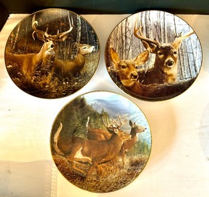 lot 190 image: 9 Pride of the Wilderness Collectors Plates
