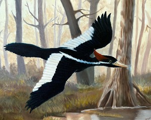 lot 153A image: Beautiful Original Bird Paining by Don Vinje