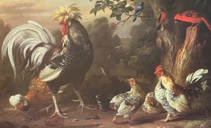 lot 319 image: Poultry and Other Birds Framed Print by Jacob Bogdany