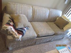 Vintage Upholstered Sleeper sofa wi...