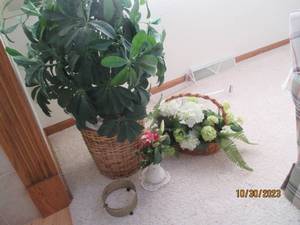 Faux plant decor grouping...