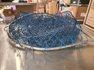Large fishing net and fish holding containers