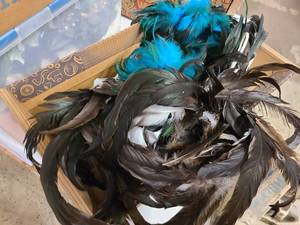 Bag of feather boas and costume gear