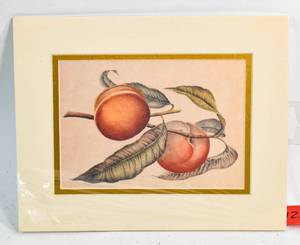 lot 121 image: Peaches Print Matted Card