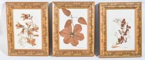 lot 150 image: 3 Pressed Flower Artwork