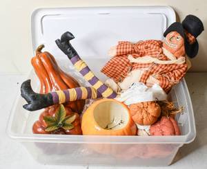 lot 851 image: Box of AutumnalHalloween Decor