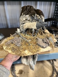 lot 43 image: Art Work  on tree bark and mushroom