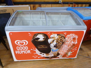 Intertek Novelty Chest Freezer