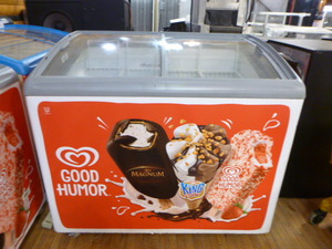 Intertek Novelty Chest Freezer