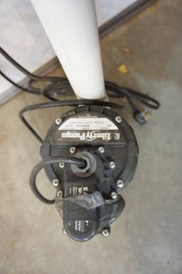 lot 49 image: Liberty Pump Model No. 247 with Pipe Extension 6 amp 14 hp