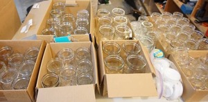 lot 60 image: Canning Jars...