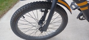 Youth Boys Bicycle GIANT Frantic 20