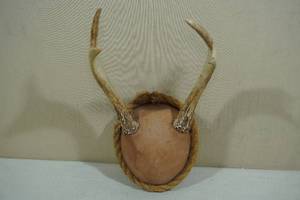Deer Antler Mount