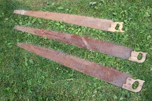 lot 15 image: 3 antique cross cut saws, the largest is 59 long