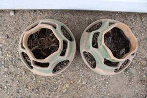 lot 168 image: 2 SW style tiered berry planters
