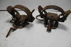 lot 182 image: Lot of 6 jump traps, some are Victors
