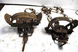 lot 184 image: Six Vintage Traps