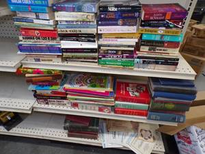 lot 243 image: Lot of Fiction Books