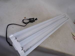 lot 270 image: Florescent Light